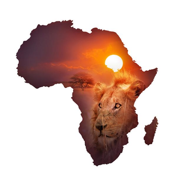 African sayings and proverbs African words of wisdom
