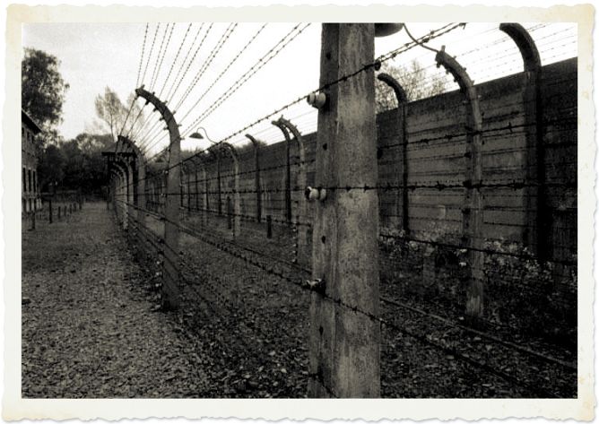 Auschwitz in order not to forget Auschwitz in order not to forget