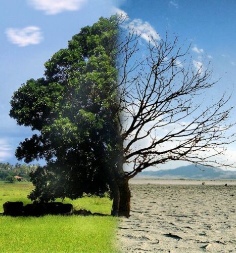 Climate change test