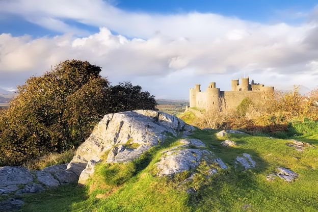 The Celtic Culture
