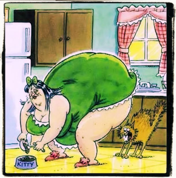 Humour and jokes