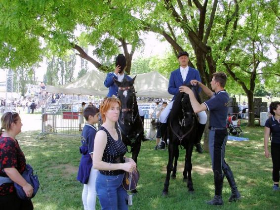 Mary and the horses