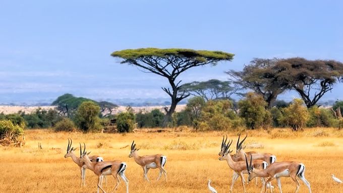 Quotes about Africa Quotes about Africa