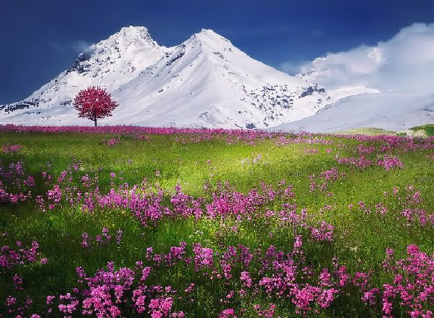 Quotes on beauty and grace Quotes on beauty and grace