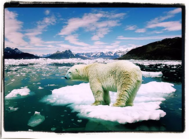 Stop global warming