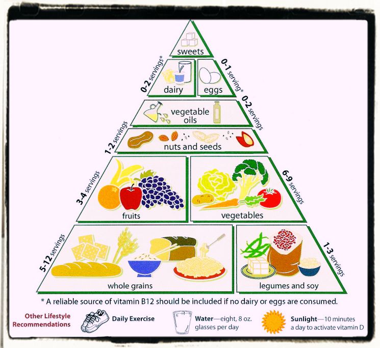 Vegetarian food diet